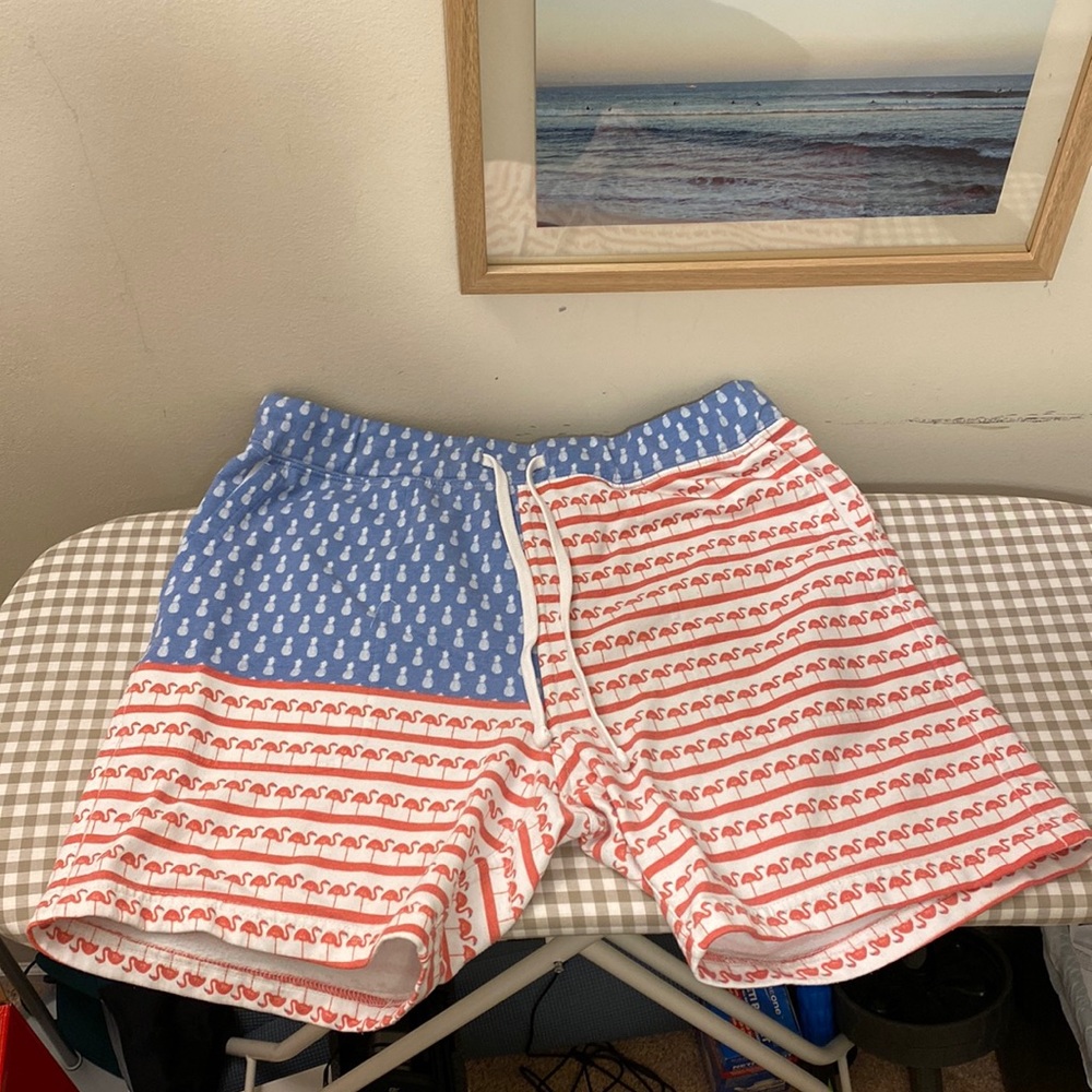 Chubbies XL 5.5” Inseam Shorts